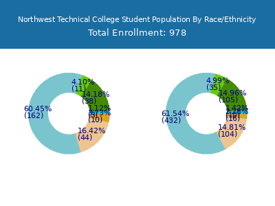 Northwest Technical College 2025 Student Population by Gender and Race chart