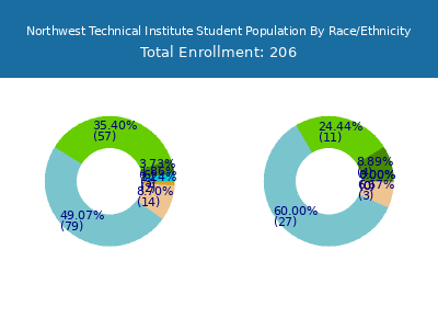 Northwest Technical Institute 2025 Student Population by Gender and Race chart