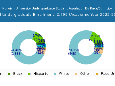 Norwich University 2023 Undergraduate Enrollment by Gender and Race chart