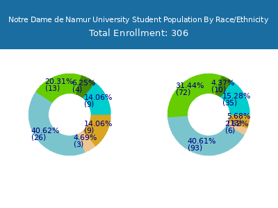 Notre Dame de Namur University 2025 Student Population by Gender and Race chart