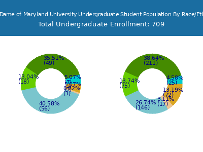 Notre Dame of Maryland University 2025 Undergraduate Enrollment by Gender and Race chart