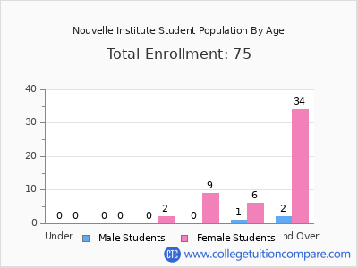 Nouvelle Institute 2024 Student Population by Age chart