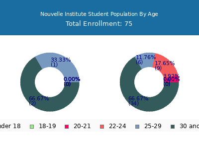 Nouvelle Institute 2024 Student Population Age Diversity Pie chart