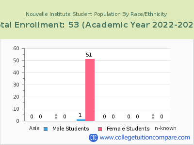 Nouvelle Institute 2023 Student Population by Gender and Race chart