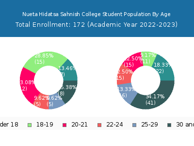Nueta Hidatsa Sahnish College 2023 Student Population Age Diversity Pie chart
