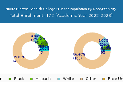 Nueta Hidatsa Sahnish College 2023 Student Population by Gender and Race chart