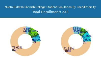 Nueta Hidatsa Sahnish College 2025 Student Population by Gender and Race chart