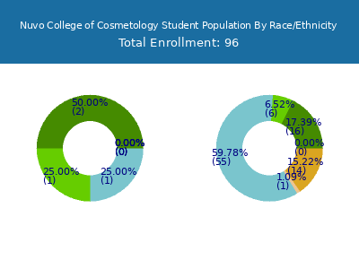 Nuvo College of Cosmetology 2025 Student Population by Gender and Race chart