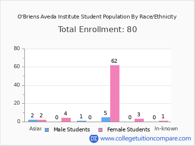O'Briens Aveda Institute 2025 Student Population by Gender and Race chart