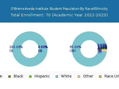 O'Briens Aveda Institute 2023 Student Population by Gender and Race chart