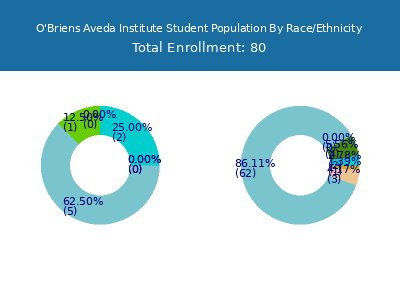 O'Briens Aveda Institute 2025 Student Population by Gender and Race chart