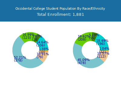 Occidental College 2025 Student Population by Gender and Race chart