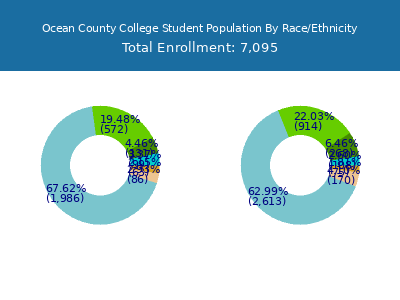 Ocean County College 2025 Student Population by Gender and Race chart