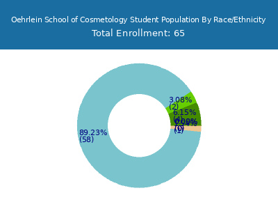 Oehrlein School of Cosmetology 2025 Student Population by Gender and Race chart