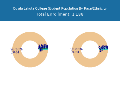Oglala Lakota College 2025 Student Population by Gender and Race chart