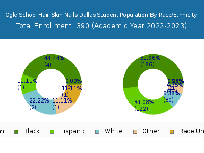 Ogle School Hair Skin Nails-Dallas 2023 Student Population by Gender and Race chart