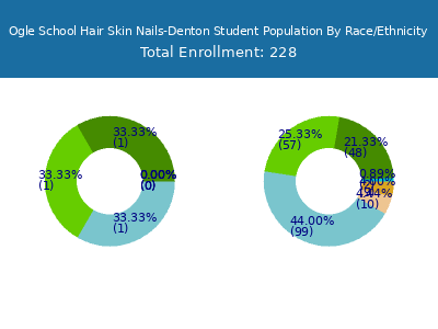 Ogle School Hair Skin Nails-Denton 2025 Student Population by Gender and Race chart