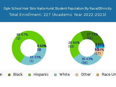 Ogle School Hair Skin Nails-Hurst 2023 Student Population by Gender and Race chart