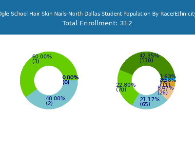 Ogle School Hair Skin Nails-North Dallas 2025 Student Population by Gender and Race chart