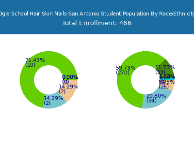 Ogle School Hair Skin Nails-San Antonio 2025 Student Population by Gender and Race chart