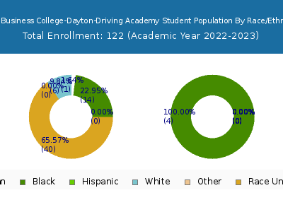 Ohio Business College-Dayton-Driving Academy 2023 Student Population by Gender and Race chart