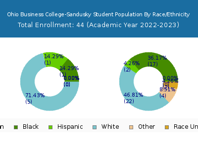 Ohio Business College-Sandusky 2023 Student Population by Gender and Race chart
