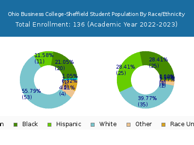 Ohio Business College-Sheffield 2023 Student Population by Gender and Race chart