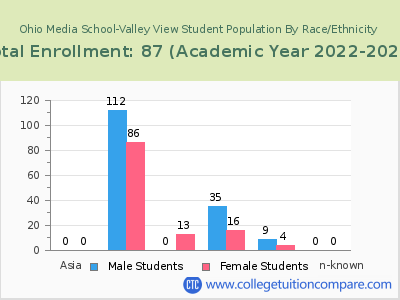 Ohio Media School-Valley View 2023 Student Population by Gender and Race chart