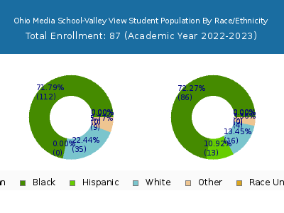 Ohio Media School-Valley View 2023 Student Population by Gender and Race chart