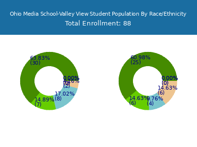 Ohio Media School-Valley View 2025 Student Population by Gender and Race chart