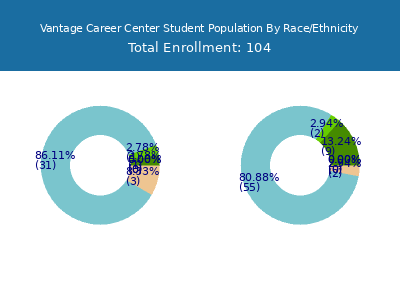 Vantage Career Center 2025 Student Population by Gender and Race chart