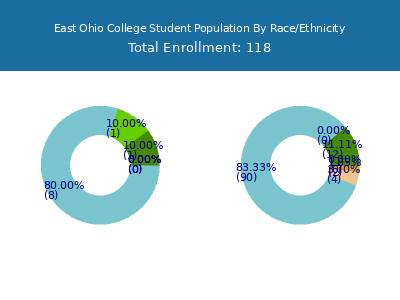 East Ohio College 2025 Student Population by Gender and Race chart