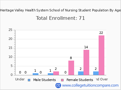 Heritage Valley Health System School of Nursing 2024 Student Population by Age chart