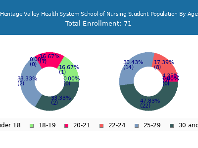Heritage Valley Health System School of Nursing 2024 Student Population Age Diversity Pie chart