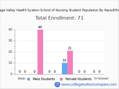 Heritage Valley Health System School of Nursing 2025 Student Population by Gender and Race chart