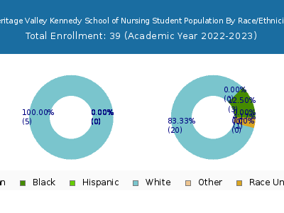 Heritage Valley Kennedy School of Nursing 2023 Student Population by Gender and Race chart