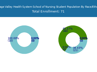 Heritage Valley Health System School of Nursing 2025 Student Population by Gender and Race chart