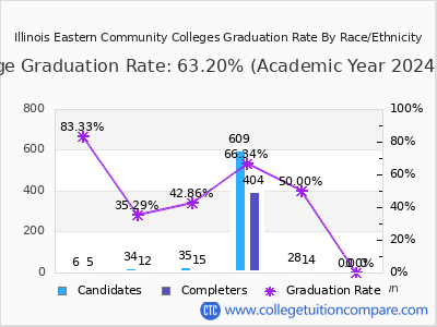 Illinois Eastern Community Colleges graduation rate by race