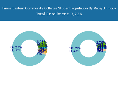 Illinois Eastern Community Colleges 2025 Student Population by Gender and Race chart