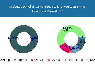 Opelousas School of Cosmetology 2025 Student Population Age Diversity Pie chart