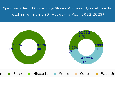 Opelousas School of Cosmetology 2023 Student Population by Gender and Race chart