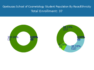 Opelousas School of Cosmetology 2025 Student Population by Gender and Race chart