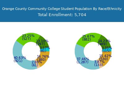 Orange County Community College 2025 Student Population by Gender and Race chart