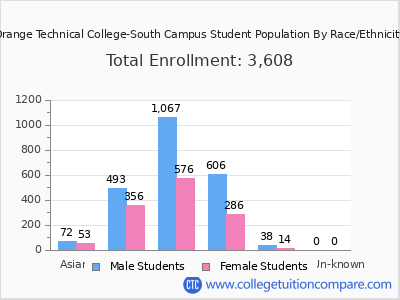 Orange Technical College-South Campus 2025 Student Population by Gender and Race chart