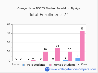 Orange Ulster BOCES 2024 Student Population by Age chart