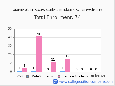 Orange Ulster BOCES 2025 Student Population by Gender and Race chart