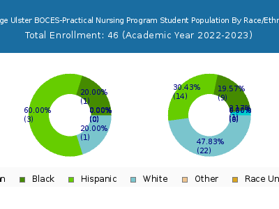 Orange Ulster BOCES-Practical Nursing Program 2023 Student Population by Gender and Race chart