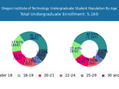 Oregon Institute of Technology 2025 Undergraduate Enrollment Age Diversity Pie chart