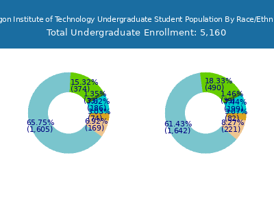 Oregon Institute of Technology 2025 Undergraduate Enrollment by Gender and Race chart