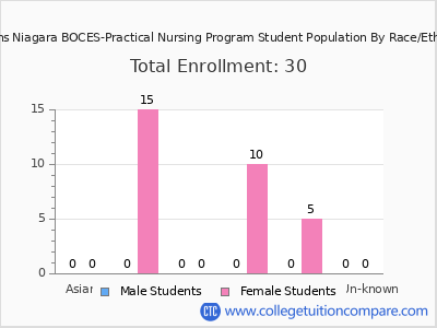 Orleans Niagara BOCES-Practical Nursing Program 2025 Student Population by Gender and Race chart